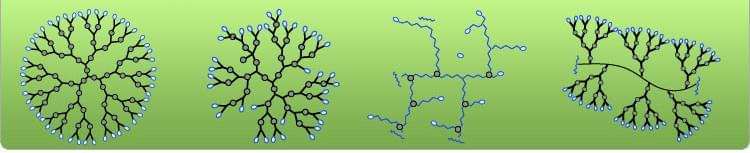 Protein Bioconjugation Services